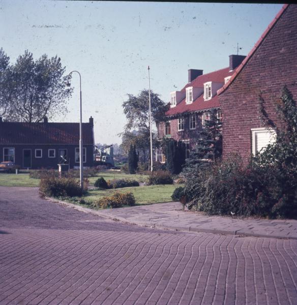 Foto 1981181159